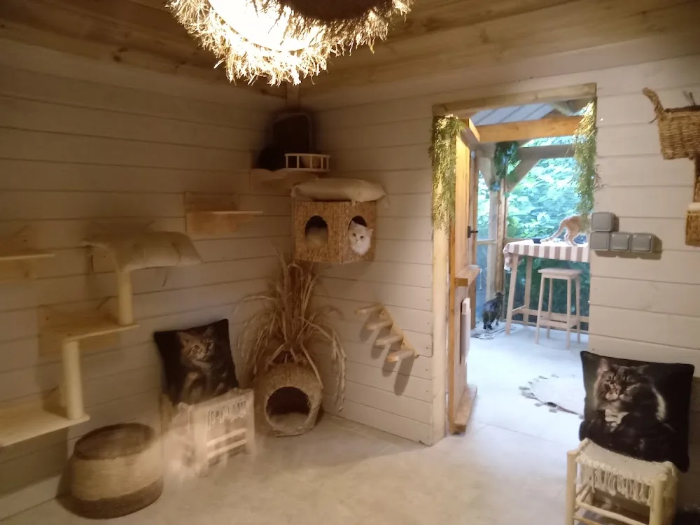 Au logis des 4 pattes - Calvados pet otel