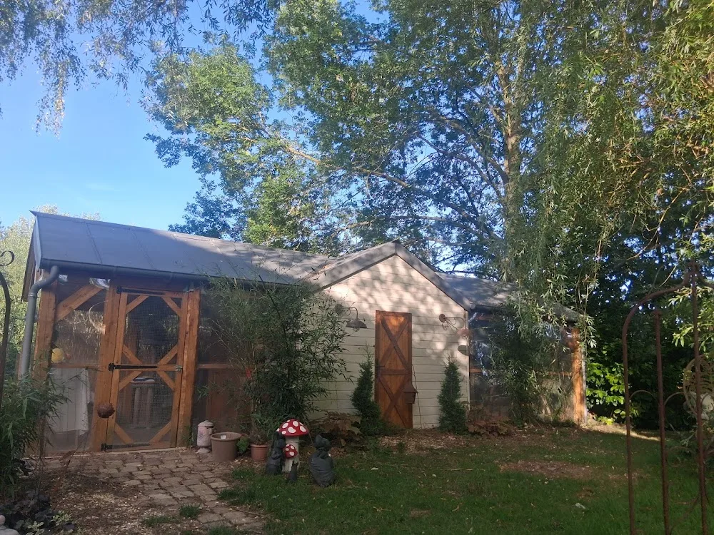 Au logis des 4 pattes - Calvados pet otel görseli 3