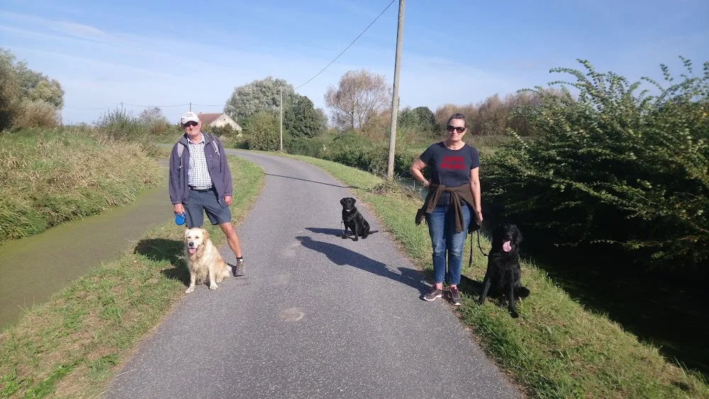 Chenil de la petite mare - Calvados pet otel görseli 7