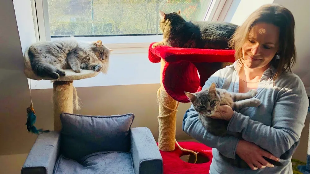 Garde Animaux Caen-Pension pour chats - Calvados pet otel