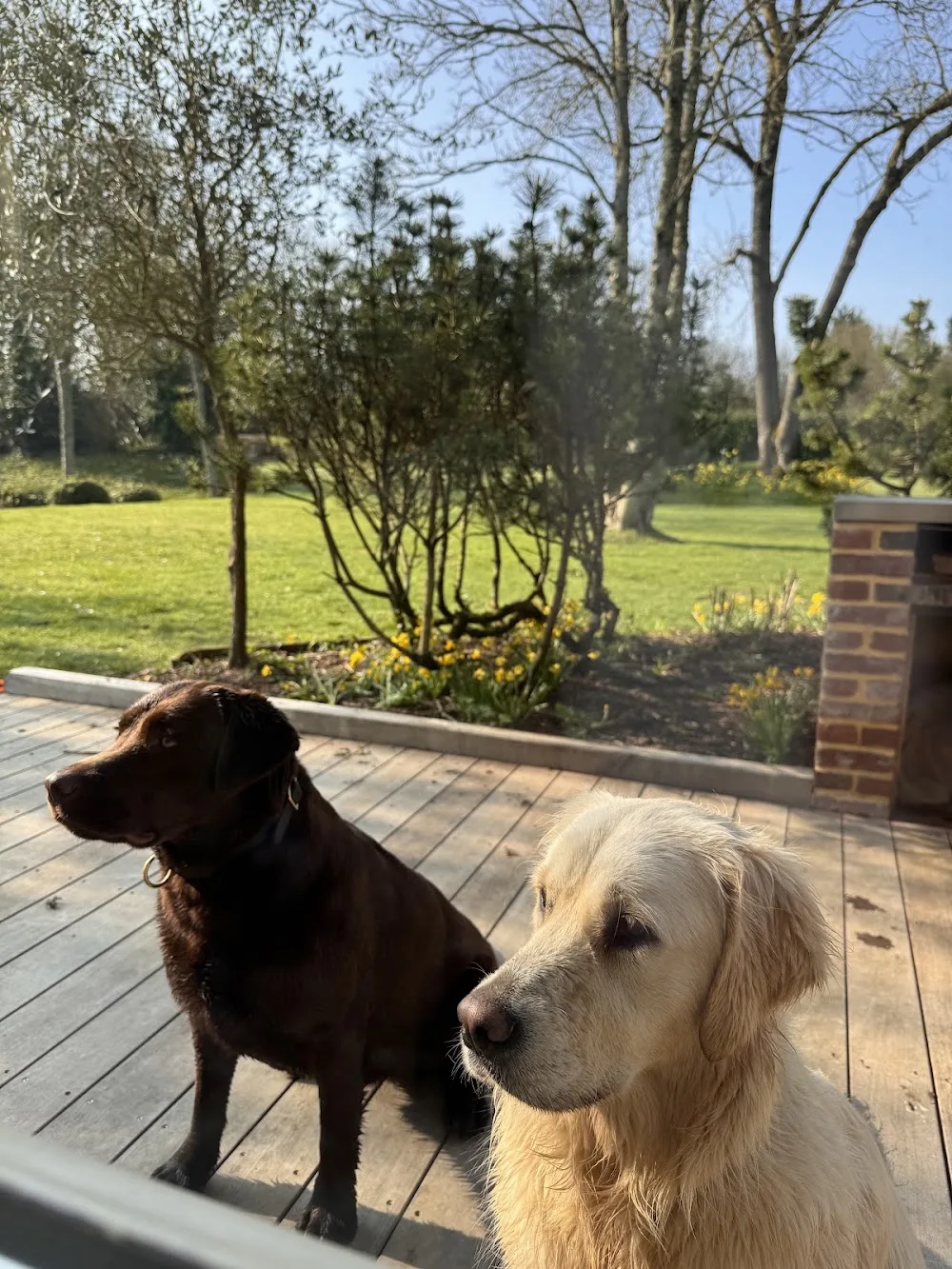 Happy'Woof Deauville / Pont l’évêque / Calvados - Calvados pet otel görseli 3