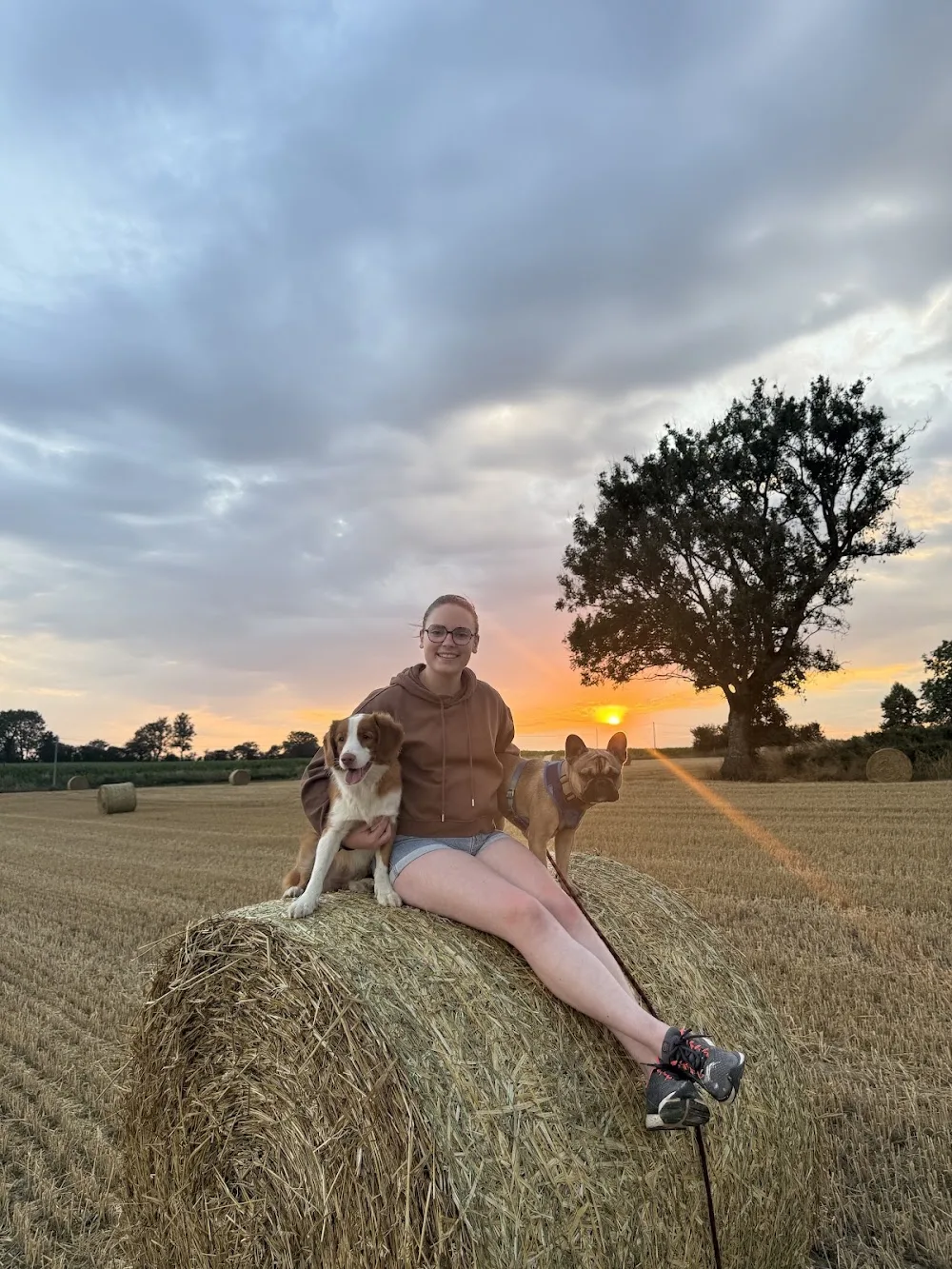 Woof’Camp Normandie - Calvados pet otel