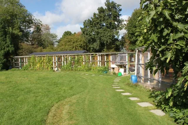 Country Cattery - Cambridge pet otel