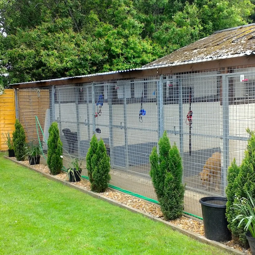 Alconbury Hill Kennels & Cattery - Cambridgeshire pet otel görseli 3