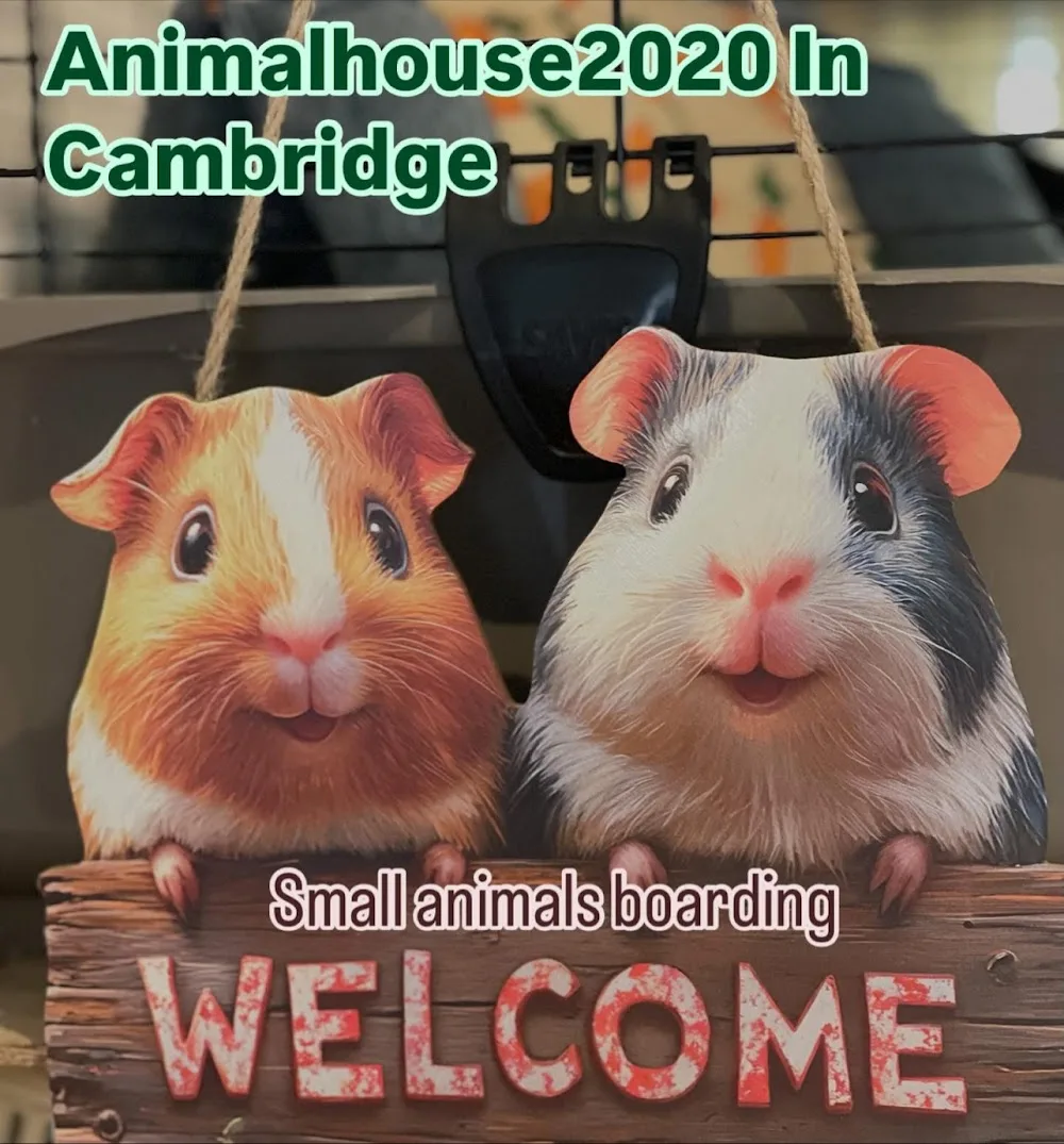 Animalhouse2020 Small Animals Boarding - Cambridgeshire pet otel
