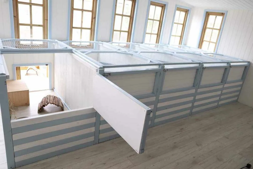 Buckley's luxury small pet hotel - Cambridgeshire pet otel