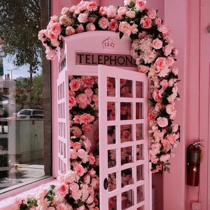 Buckley's luxury small pet hotel - Cambridgeshire pet otel görseli 4