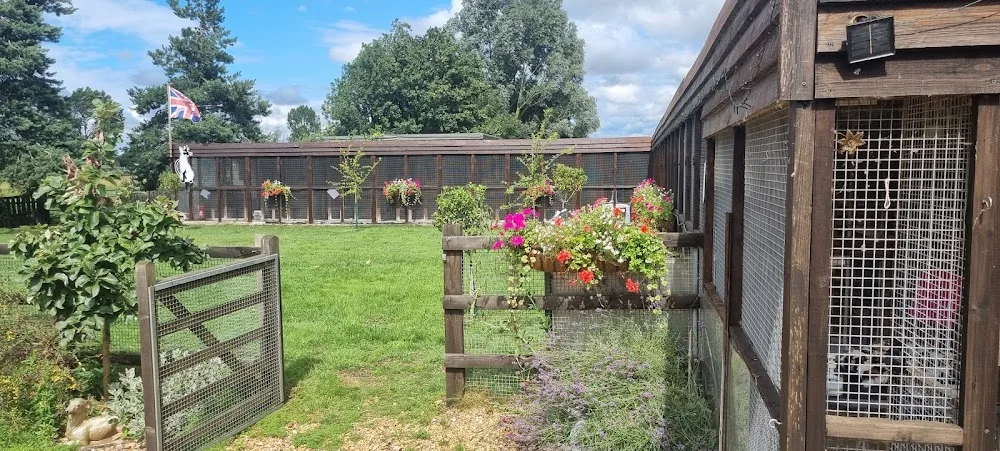 Cambria Farm Cattery - Cambridgeshire pet otel