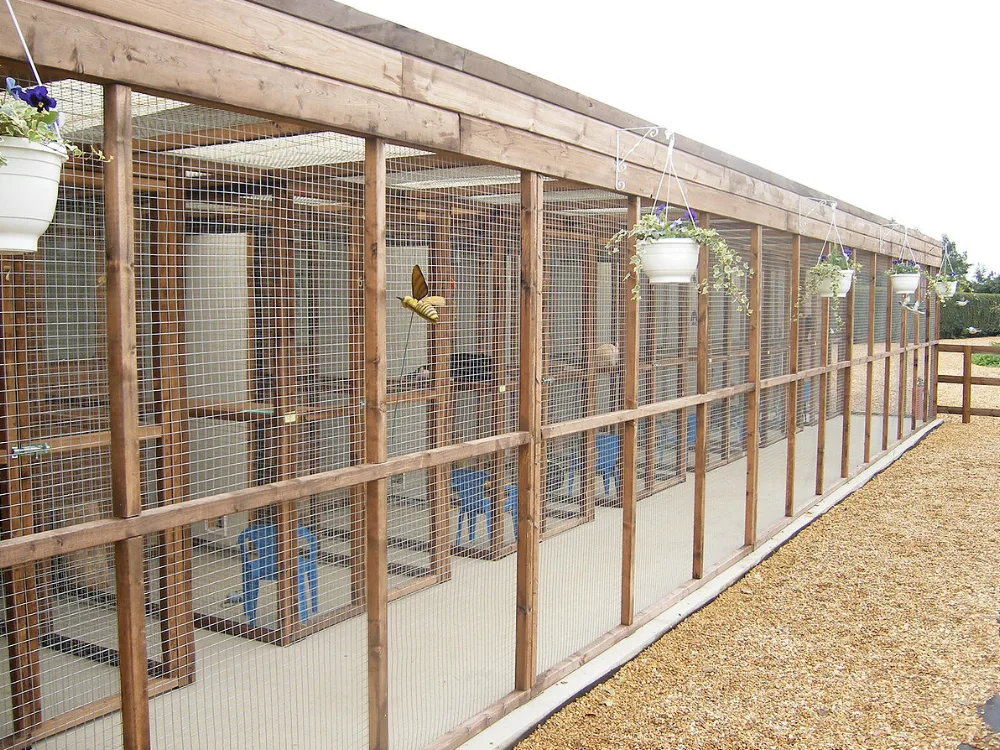 Cambria Farm Cattery - Cambridgeshire pet otel görseli 3