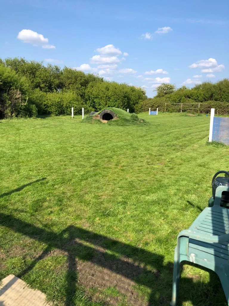 Cromwell Farm Boarding Kennels and Cattery - Cambridgeshire pet otel görseli 3