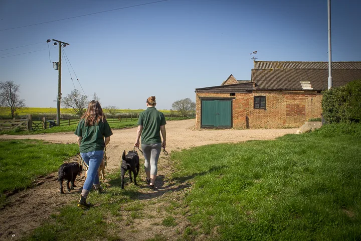 Gidding Grove Boarding Kennels & Cattery - Cambridgeshire pet otel görseli 2
