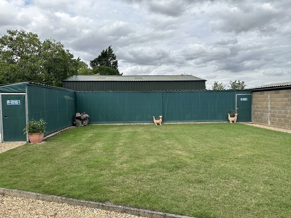 Mayfield boarding cattery - Cambridgeshire pet otel görseli 2