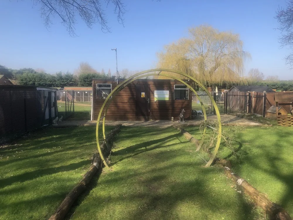 Pine Farm Kennels - Cambridgeshire pet otel görseli 2