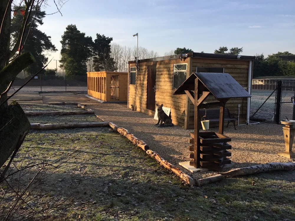 Pine Farm Kennels - Cambridgeshire pet otel görseli 4