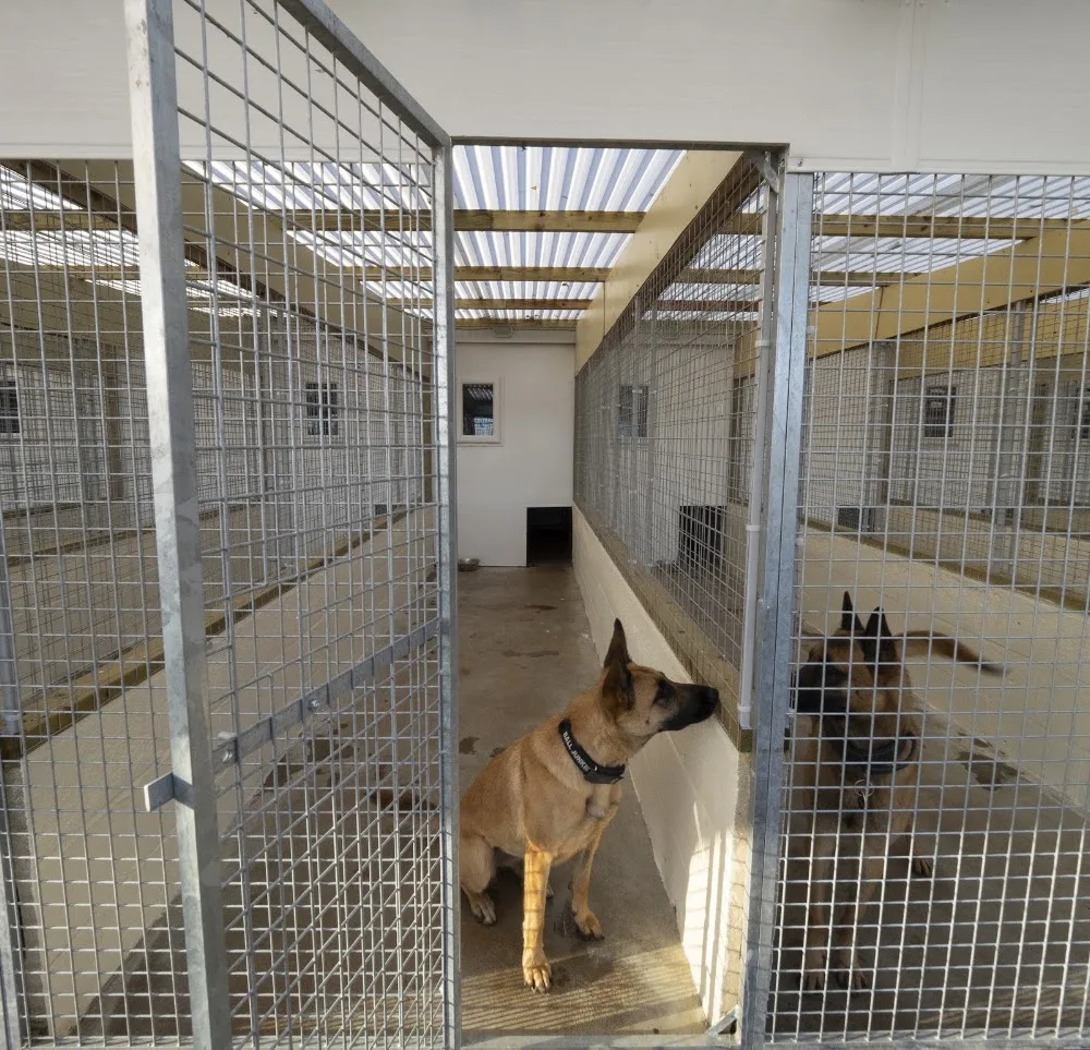 Tejaycey Dog Hotel - Cambridgeshire pet otel görseli 2
