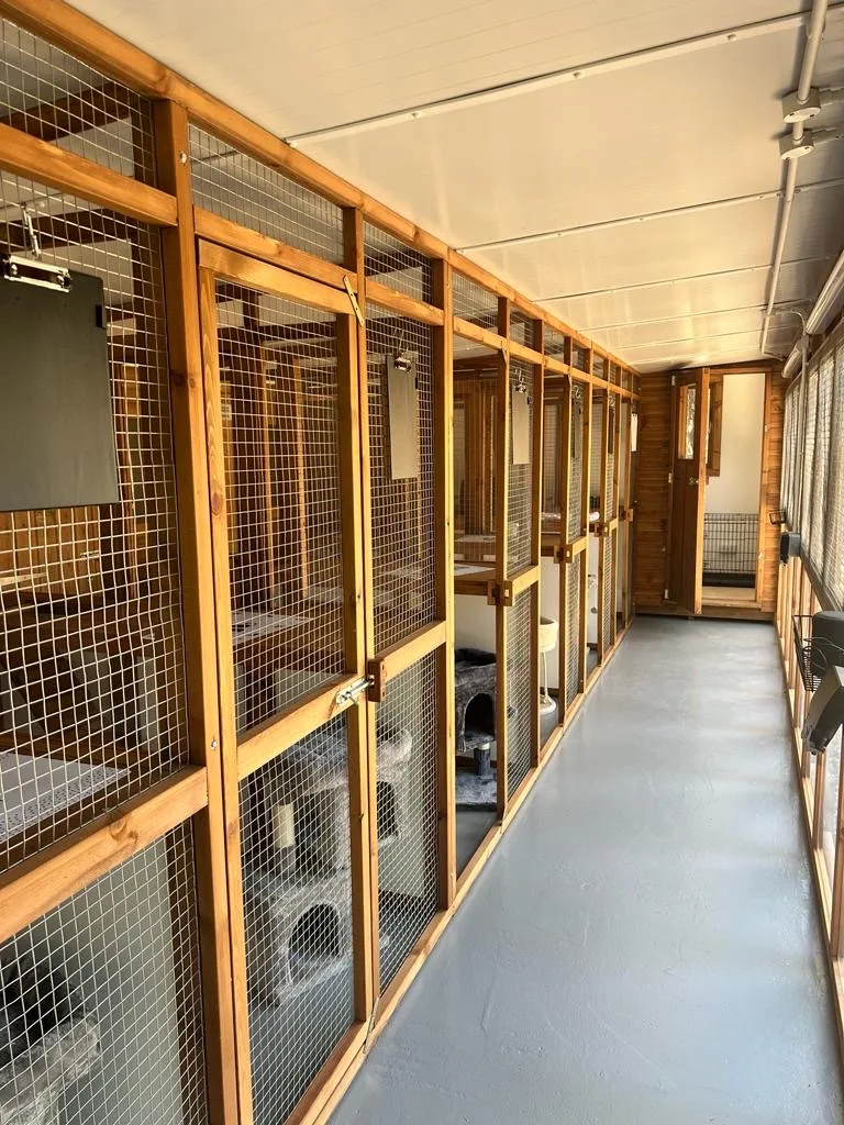 The Catty Shack - Cambridgeshire pet otel görseli 3
