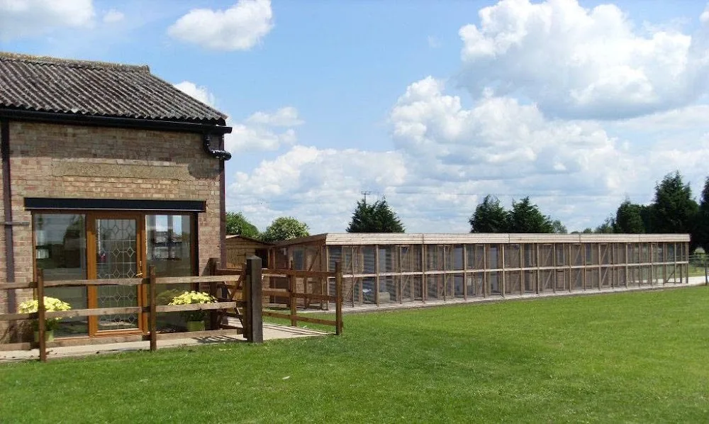Warlows Meadow Boarding Cattery - Cambridgeshire pet otel