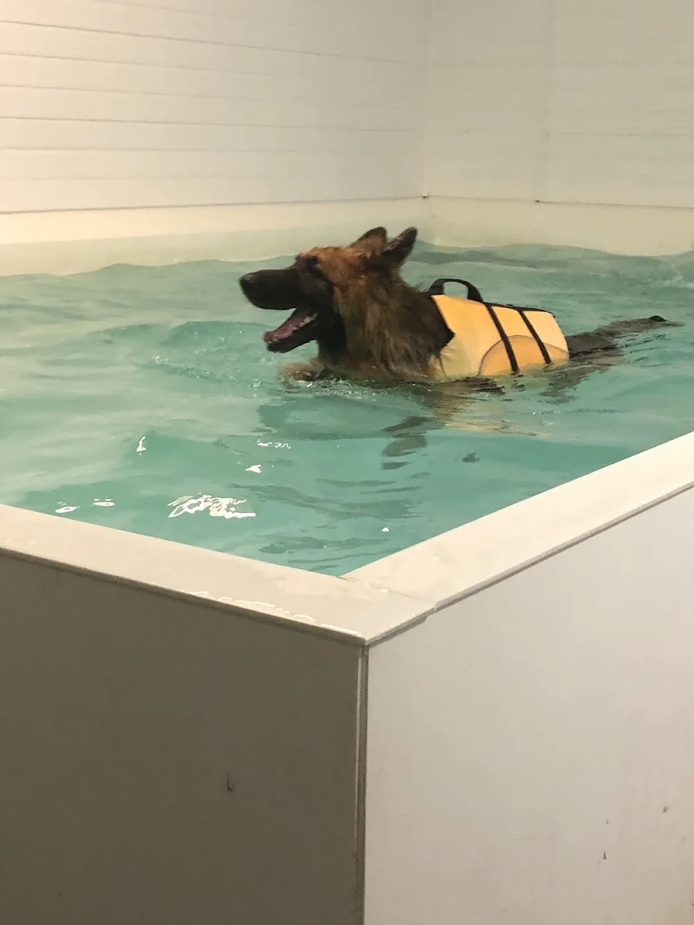 Westlodge Pet Hotel - Cambridgeshire pet otel görseli 2