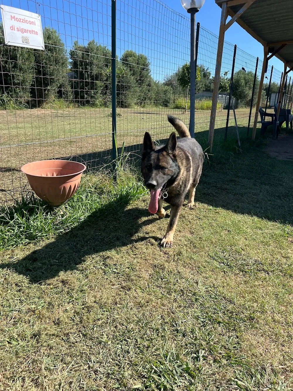 Cani In Campo ASD - Campania pet otel görseli 3