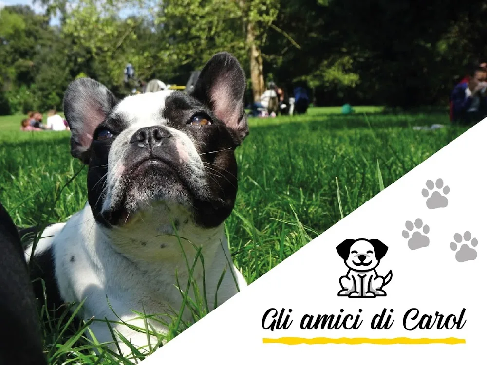 Gli amici di Carol - Centro cinofilo e pensione - Campania pet otel