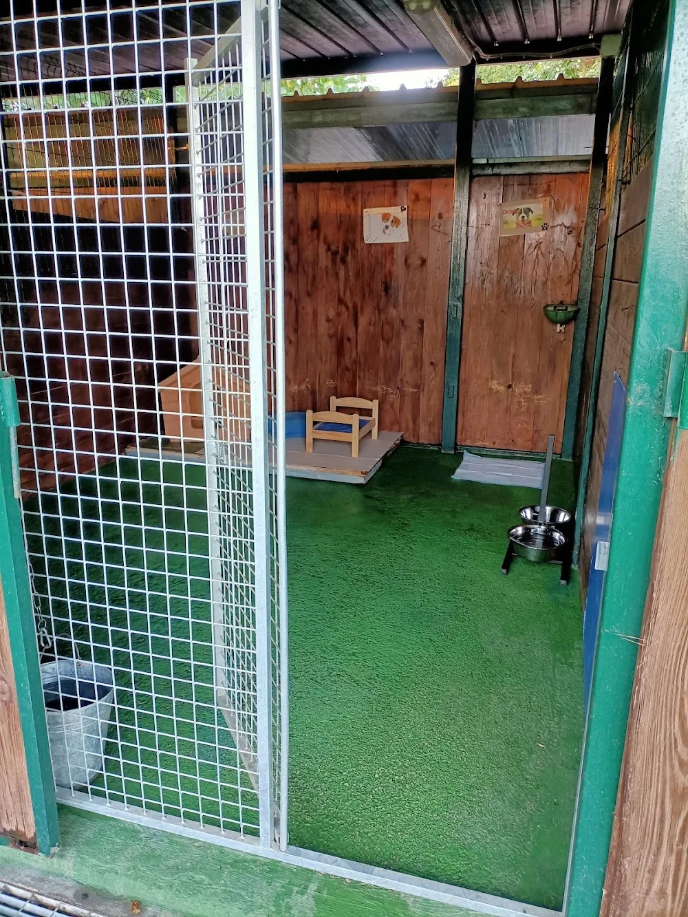 Pensione CANI DogS Land - Campania pet otel görseli 3