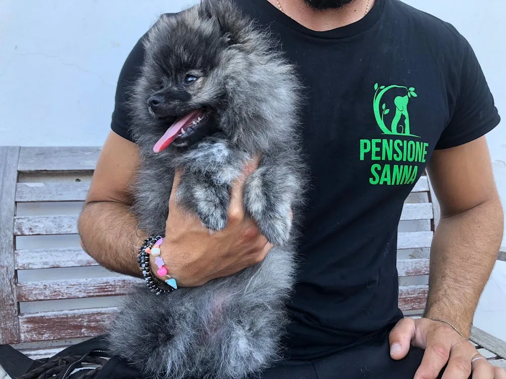Pensione per animali Sanna dal 1956 - pensione per animali domestici - Campania pet otel