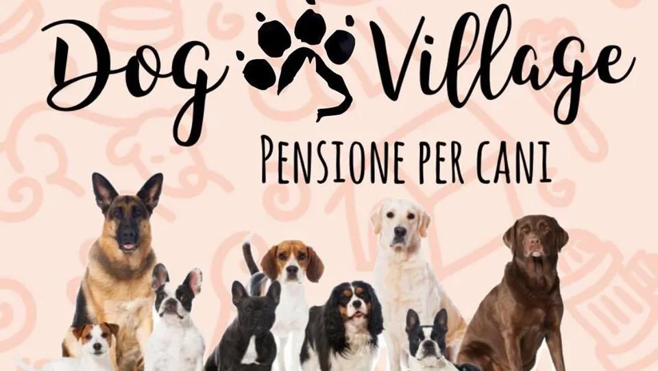 Pensione per Cani Varcaturo - Dog Village - Campania pet otel görseli 2