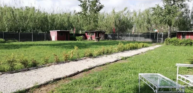 Pensione per Cani Varcaturo - Dog Village - Campania pet otel görseli 3