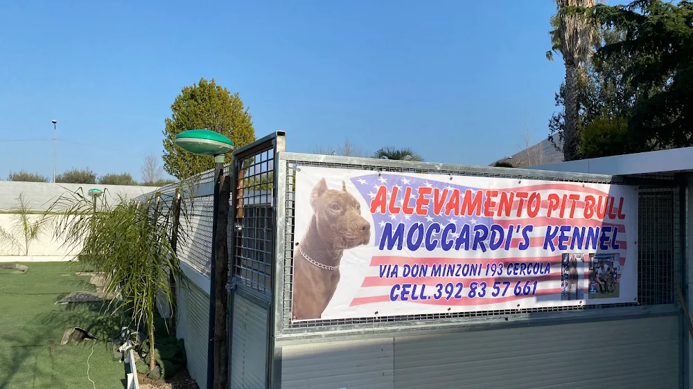 Residence Moccardi's kennel - Campania pet otel görseli 2