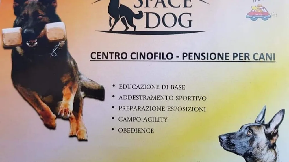 CENTRO ADDESTARMENTO E PENSIONE PER CANI - Campobasso pet otel