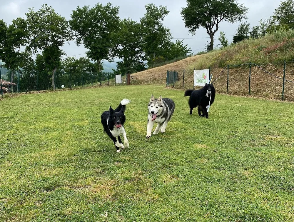Karma Dog Resort - Campobasso pet otel
