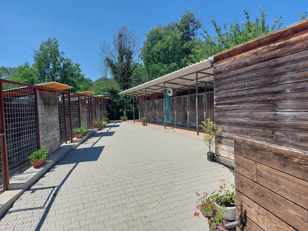 Pensione per cani Space Dog - Campobasso pet otel görseli 3