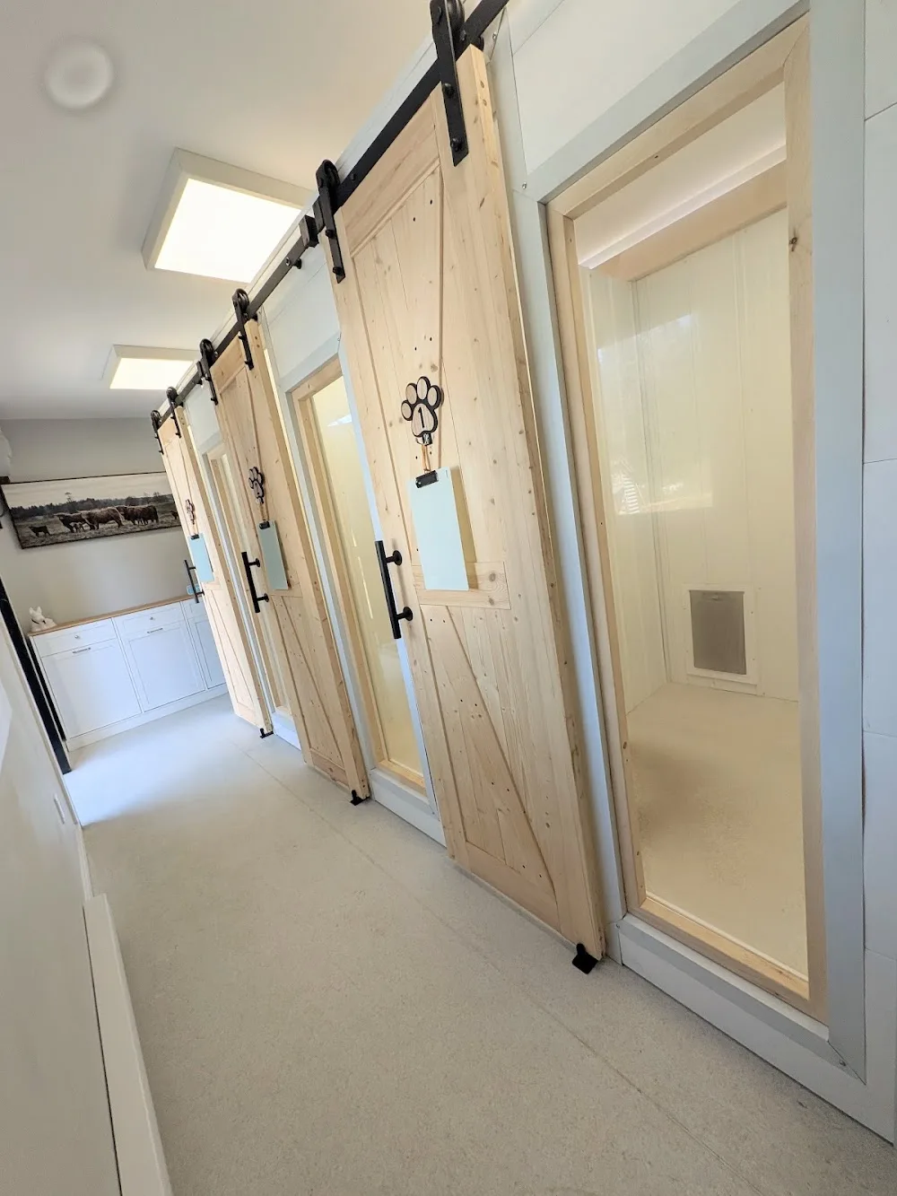 Blackstone Kennels - Canada pet otel