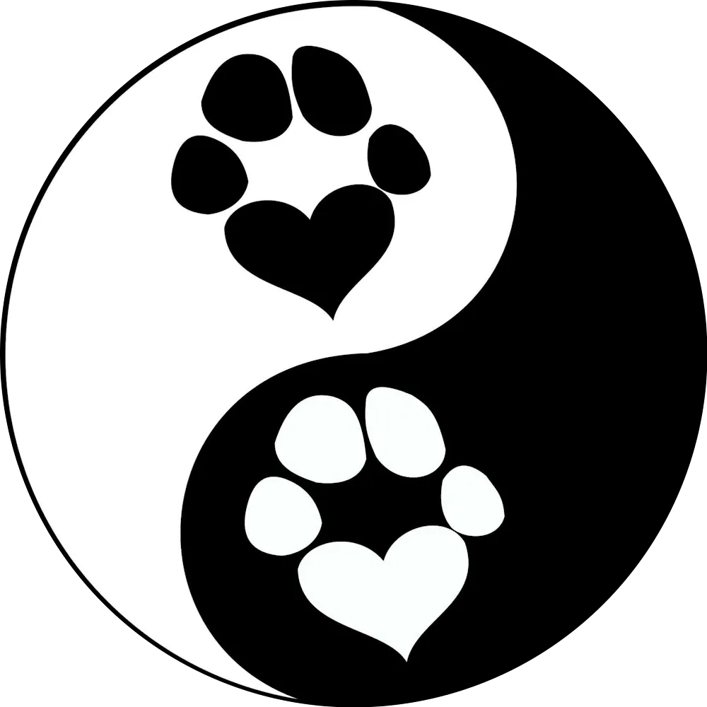Kadence K9/Dog Digs - Canada pet otel görseli 4