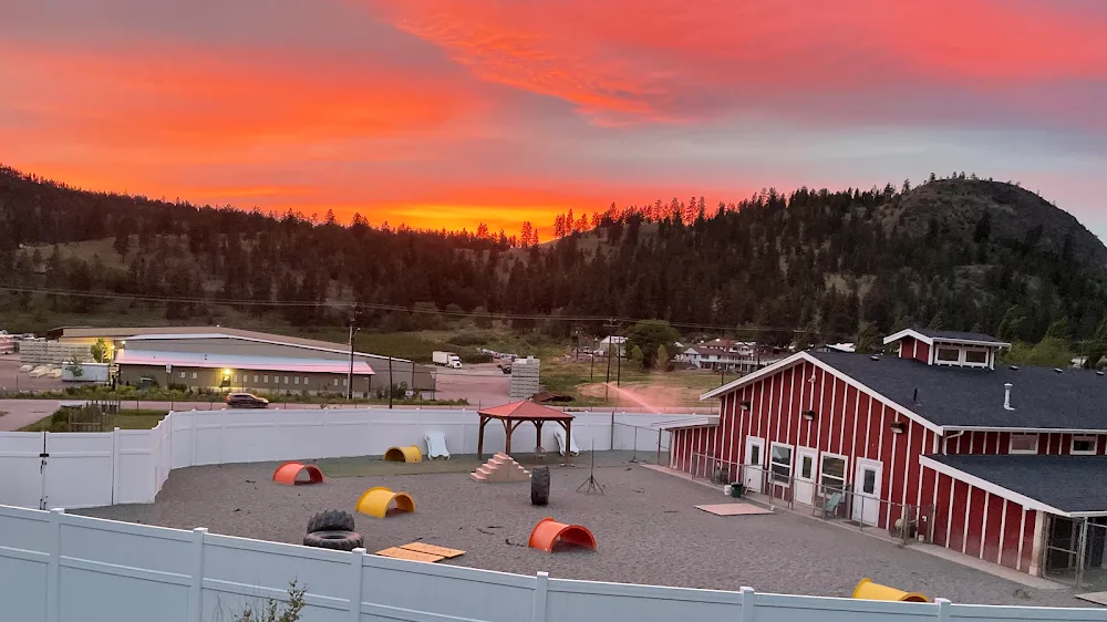 Kelowna Pet Resort - Canada pet otel görseli 3