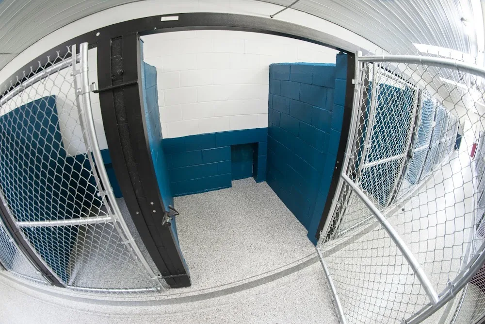 Willchris Kennels Ltd - Canada pet otel görseli 3