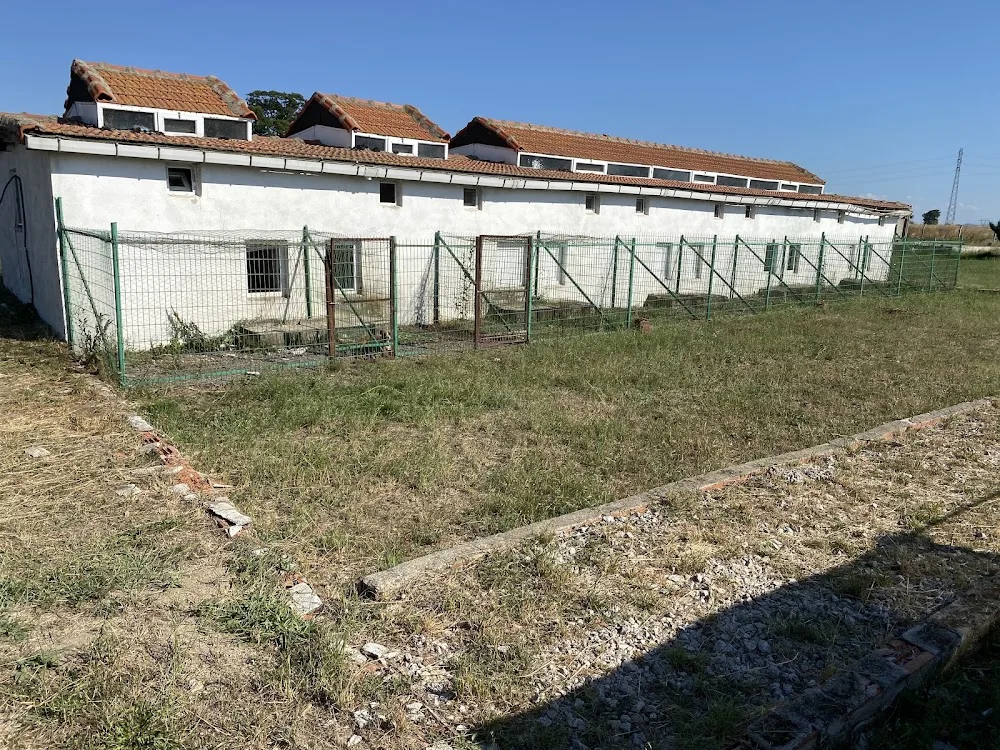 Çanakkale Köpek Oteli Pansiyonu / Tayfun Pet Hotel - Çanakkale pet otel