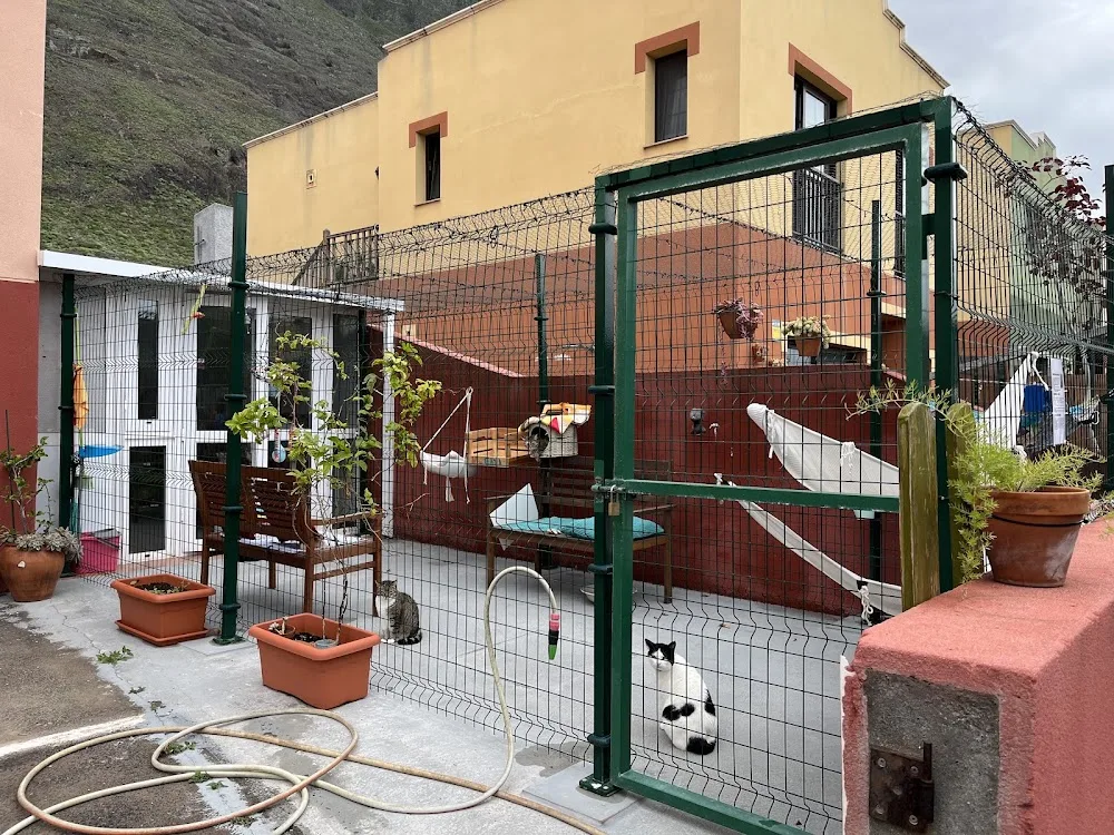 Casa de Los Gatos - Canary Islands pet otel