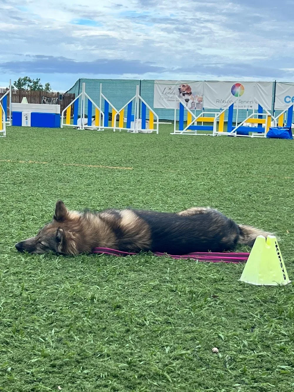Cein K9 Tenerife - Canary Islands pet otel görseli 3