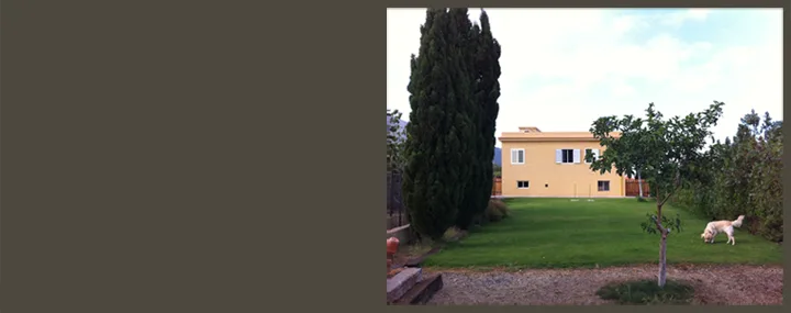 Centro Canino Golden House - Canary Islands pet otel
