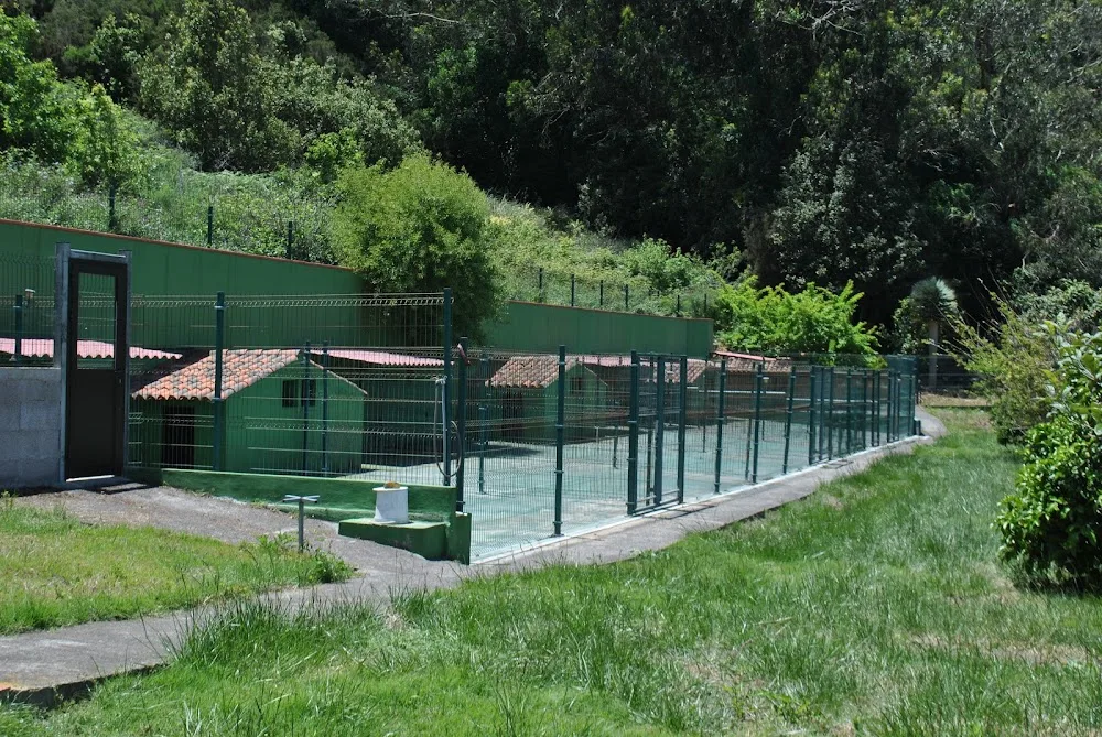 El Jardín de las Mascotas - Canary Islands pet otel görseli 3