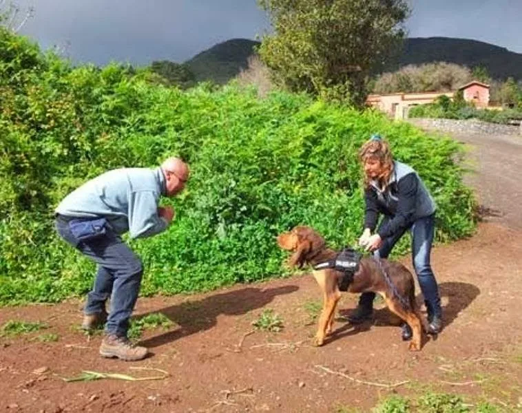 guarderia canina el jardin de tu mascota - Canary Islands pet otel