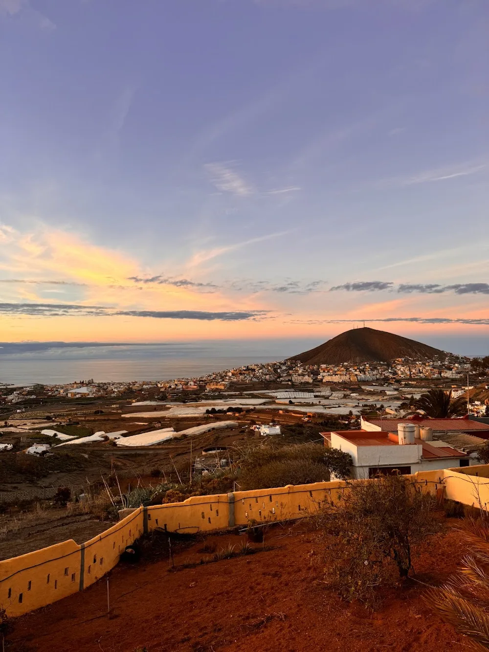 Guardería canina Gran Canaria I Dog You - Canary Islands pet otel