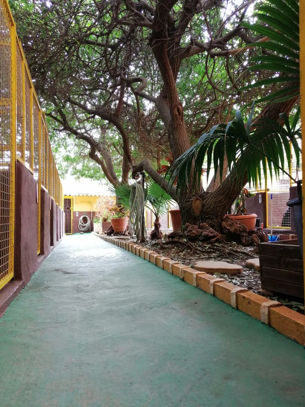 Guardería Canina Santa María de Guía - Canary Islands pet otel görseli 2