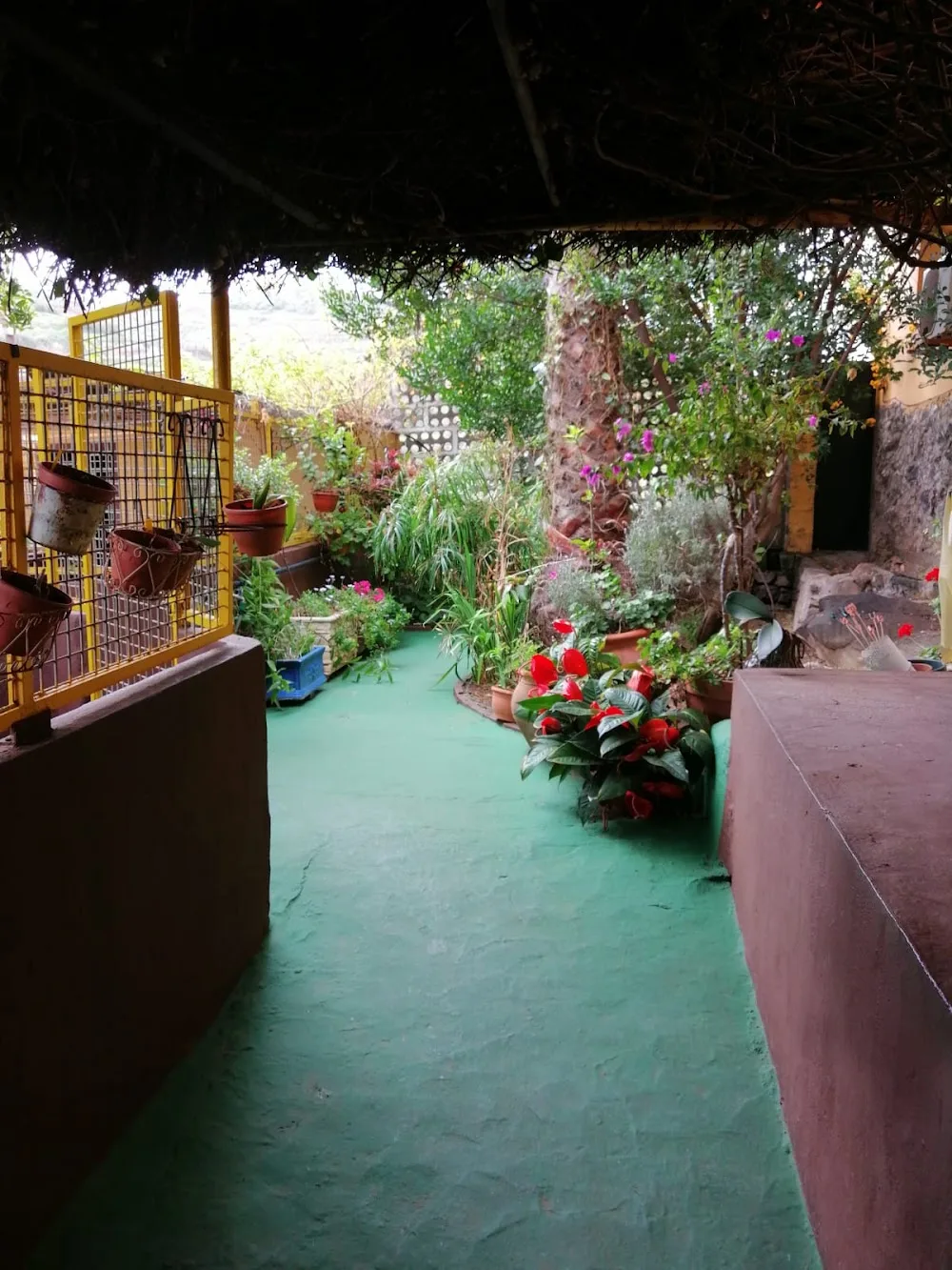 Guardería Canina Santa María de Guía - Canary Islands pet otel görseli 3