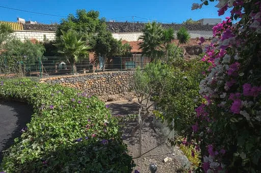 Hotel Canino Don Perro - Canary Islands pet otel görseli 3