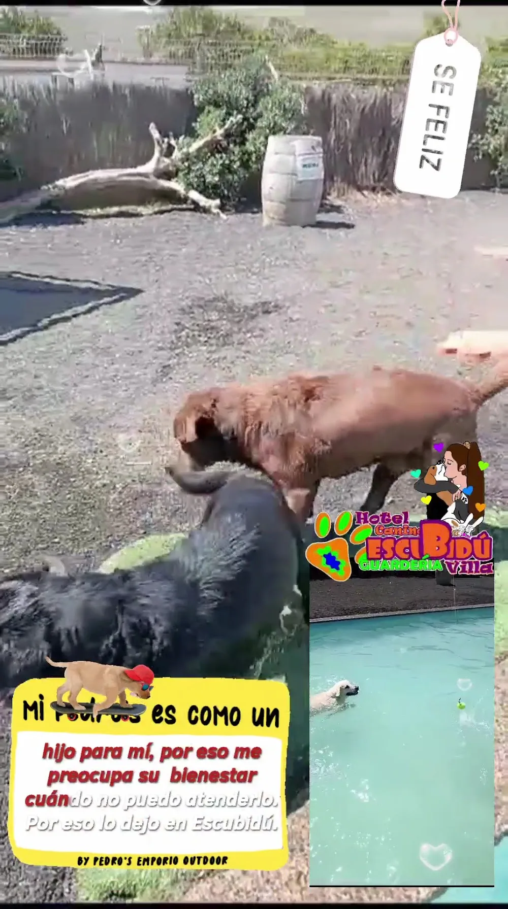Hotel Canino Escubidú - Canary Islands pet otel görseli 2