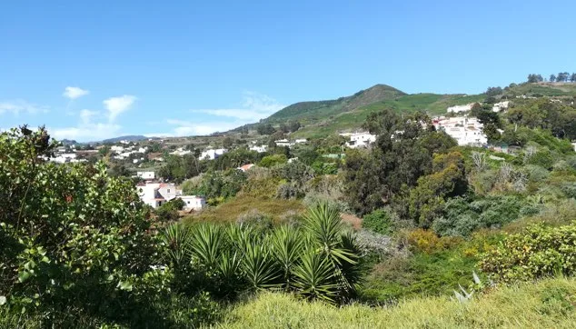Hotel canino nikkita - Canary Islands pet otel