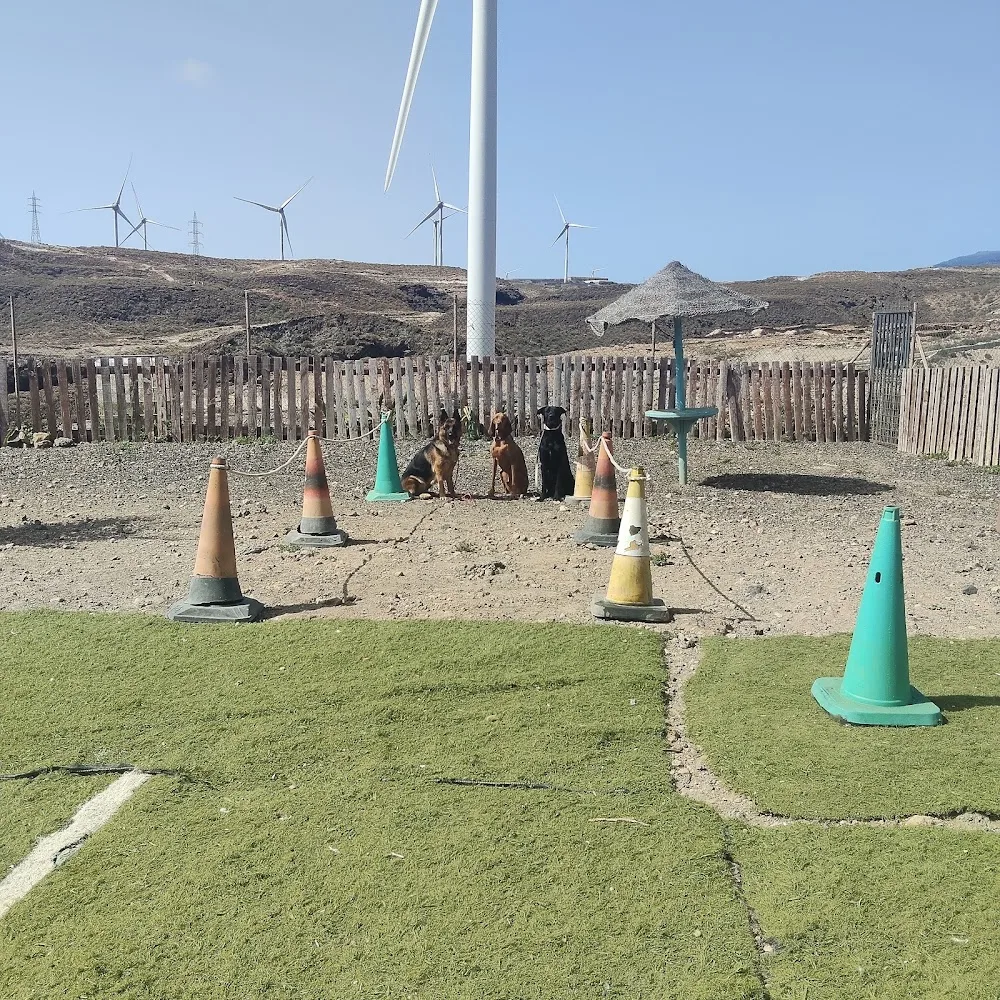 Hotel y adiestramiento canino La Pandilla - Canary Islands pet otel görseli 3