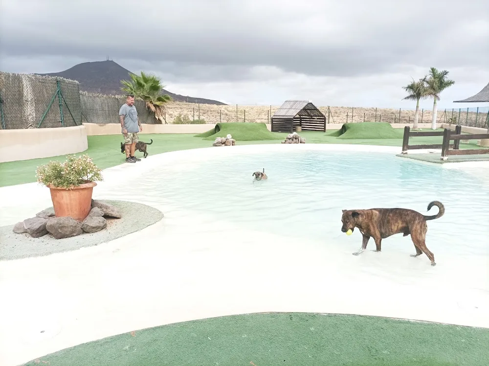 Mascots hotel & club - Canary Islands pet otel görseli 3